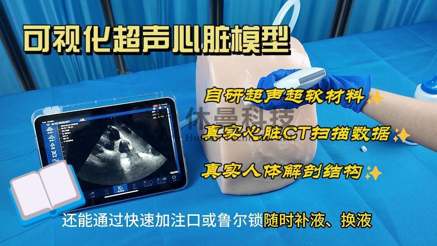 3D打印与创新材料融合：休曼科技超声心脏模型引领医学训练新标准
