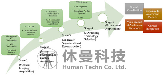 人体解剖结构的先进三维建模与生物打印技术：一种提升医学教育质量的创新方法