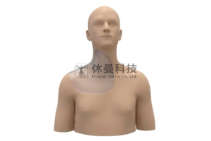 超声引导下颈丛神经阻滞术及中心静脉穿刺术模型