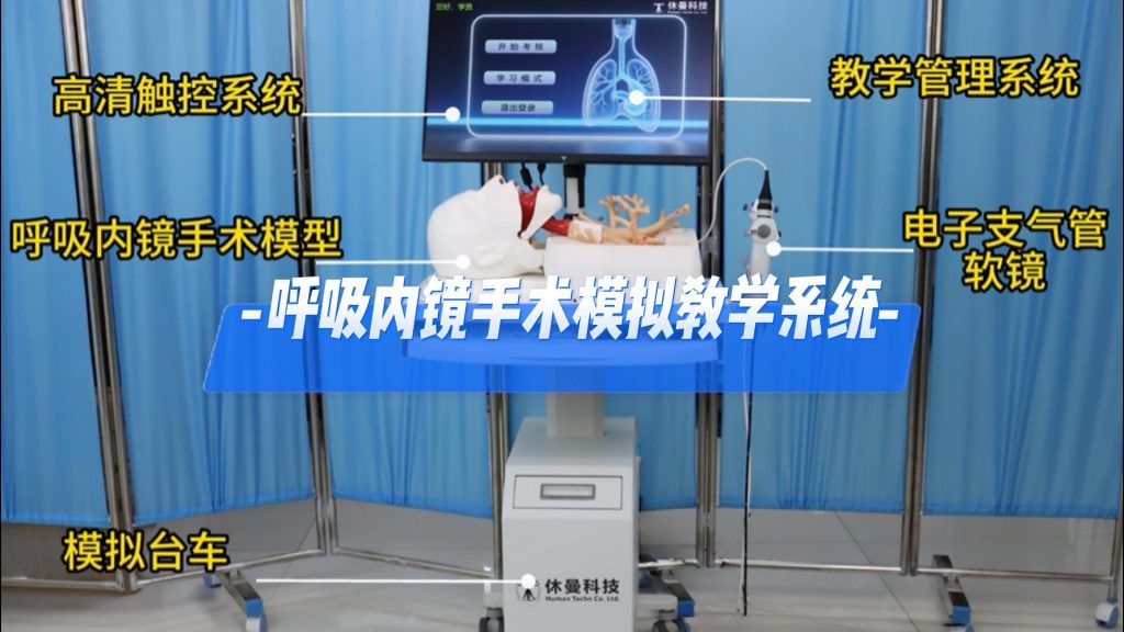 呼吸内镜手术模拟教学系统