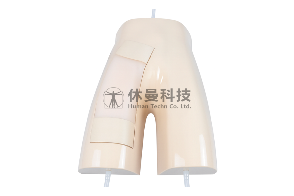 超声引导下股动静脉穿刺术模型