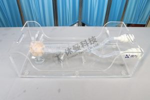房间隔穿刺手术模拟教学系统