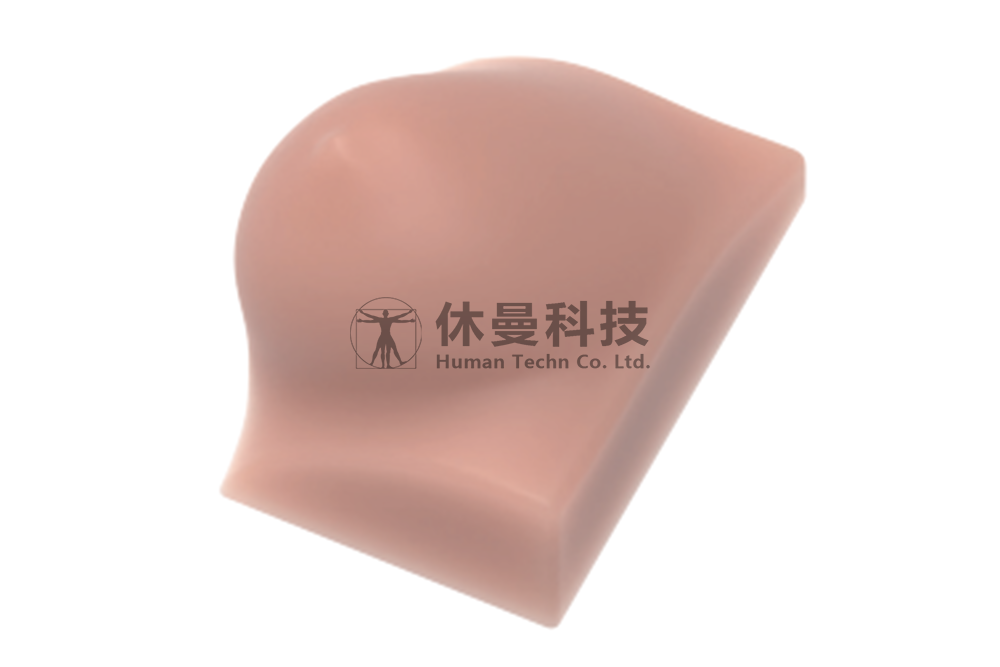 超声引导下乳腺肿物穿刺和消融术模型