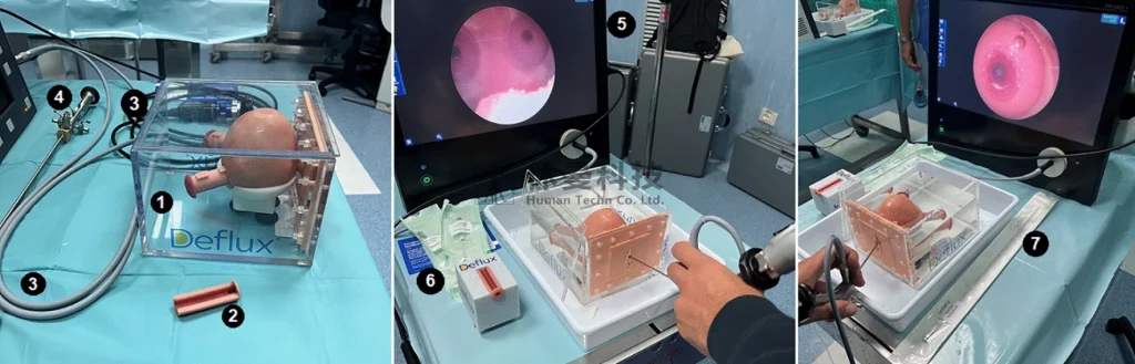 3D打印模拟器用于膀胱输尿管反流膨出剂内镜注射操作培训的验证：一项预试验