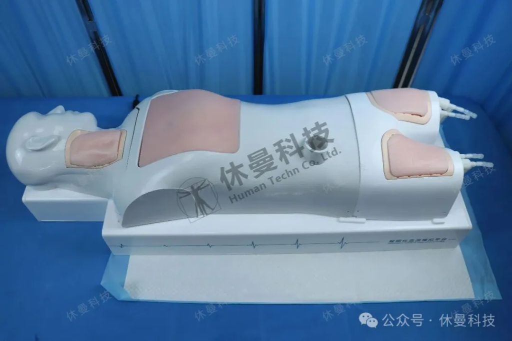 从 ECMO 置管到 ECPR 转运：休曼科技打造高仿真 ECMO 模拟人