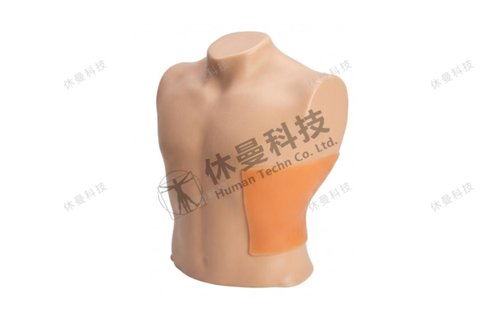 胸腔穿刺引流护理模拟教学系统