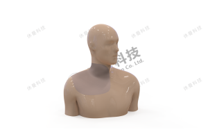 可视化静脉穿刺置管综合模拟教学系统