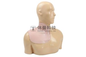 可视化臂从神经阻滞术及中心静脉穿刺术模型