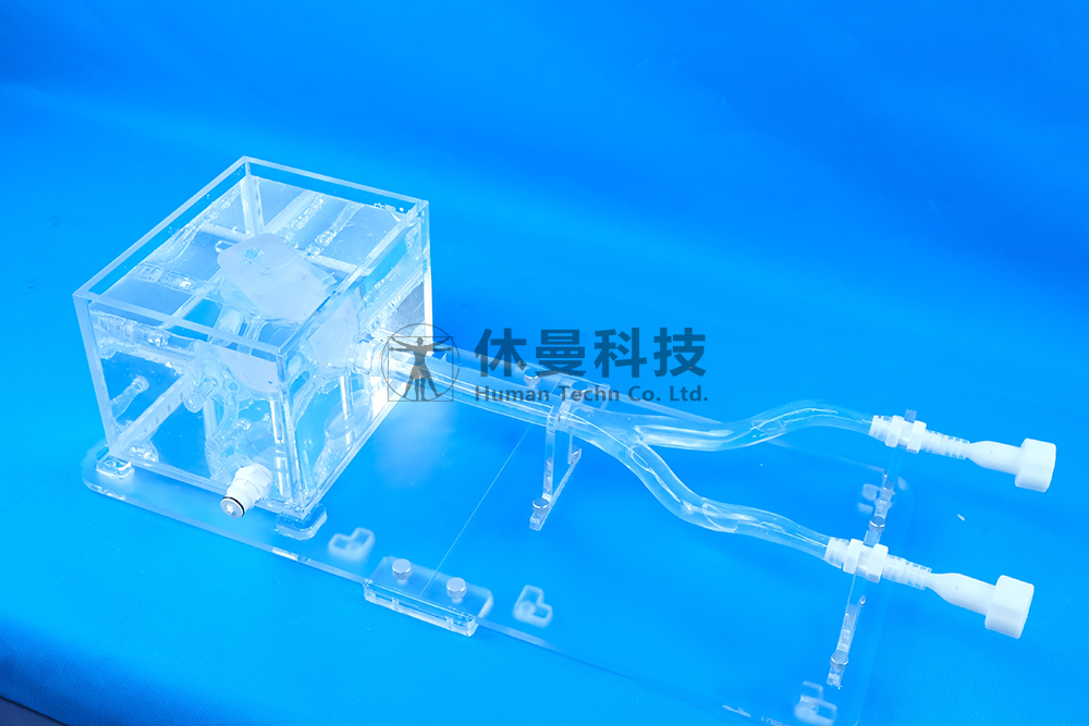 左心耳封堵术模拟教学系统（含房间隔穿刺）