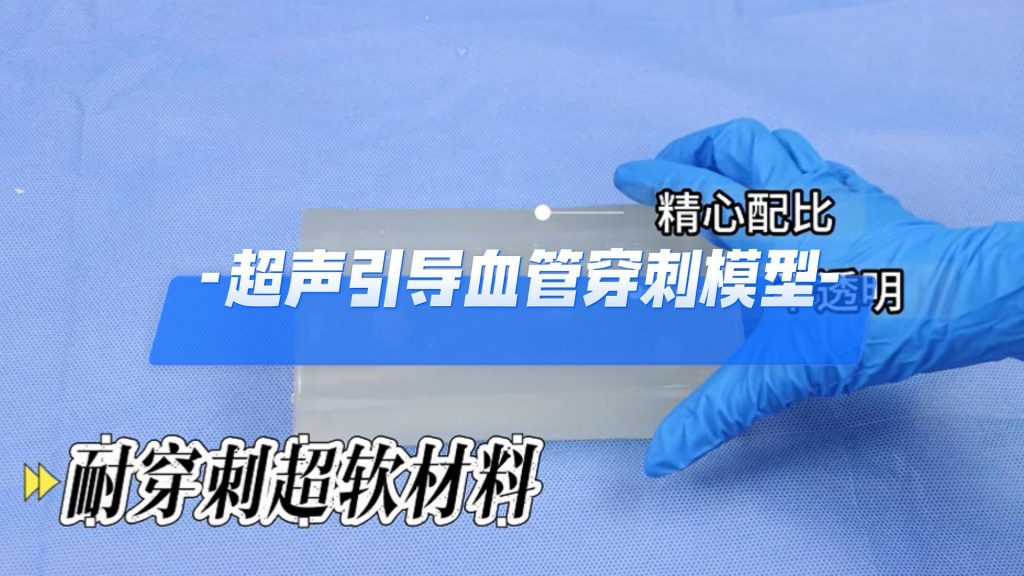 超声引导下血管穿刺模型