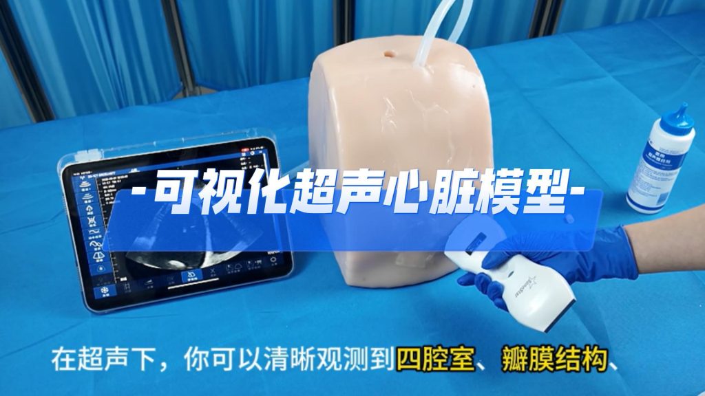 可视化超声心脏穿刺模型