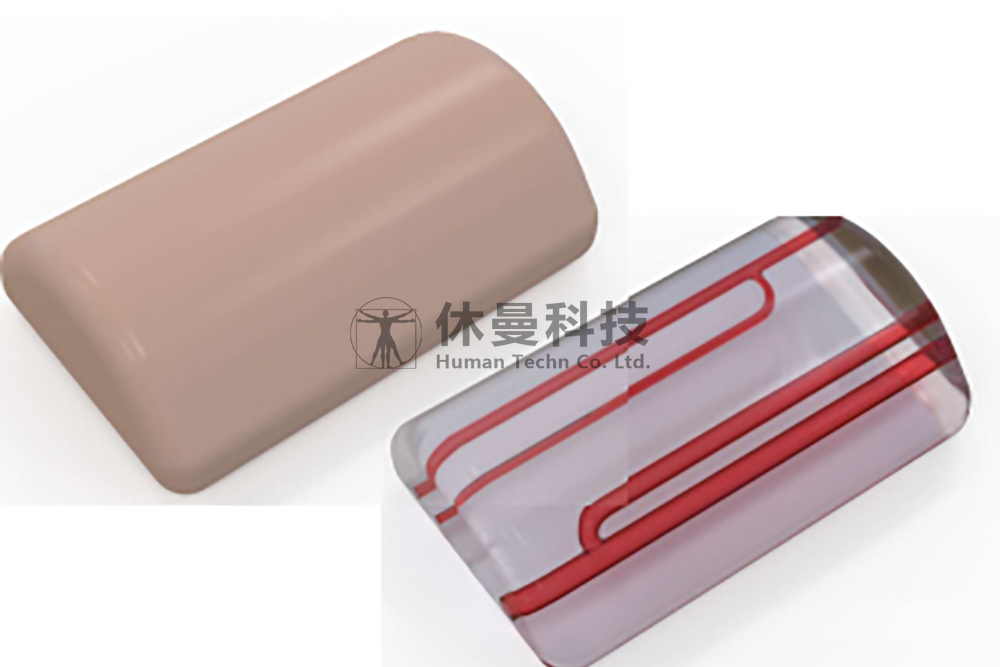血管穿刺模型