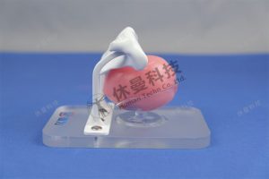 前列腺穿刺模拟教学系统