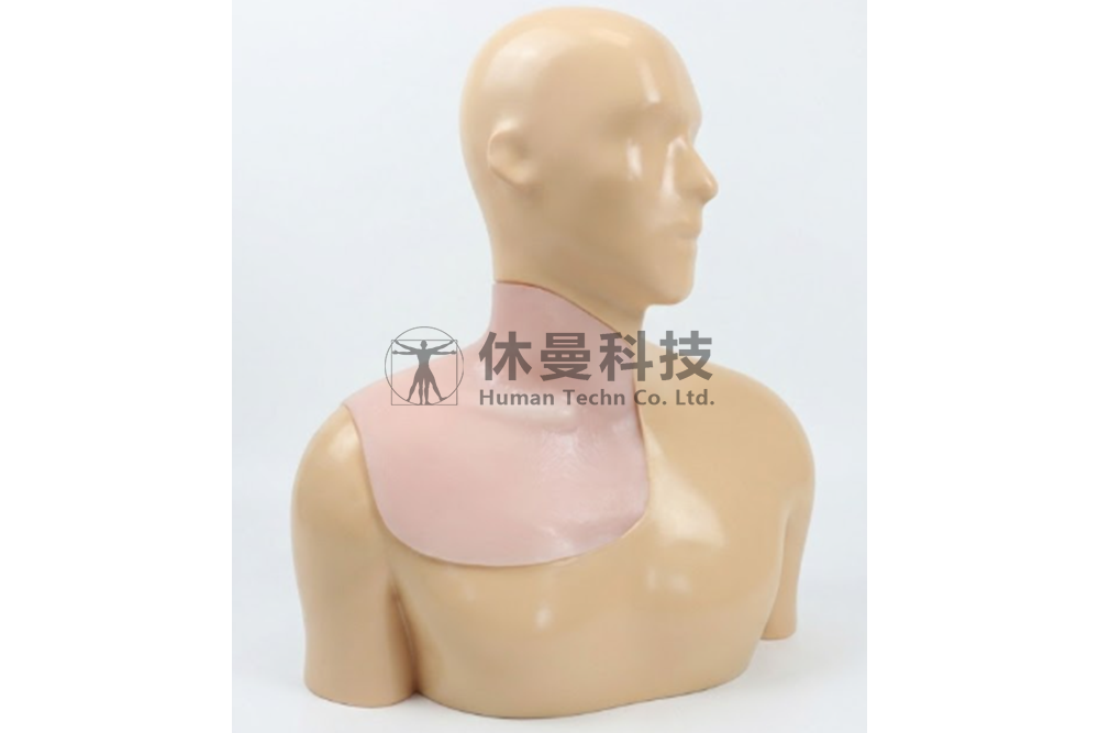 超声引导下臂丛神经阻滞术及中心静脉穿刺术模型