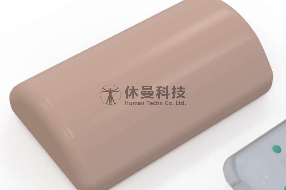 肿物穿刺及消融模型
