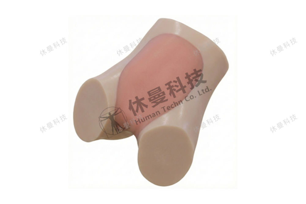 超声引导下胎盘绒毛穿刺模型