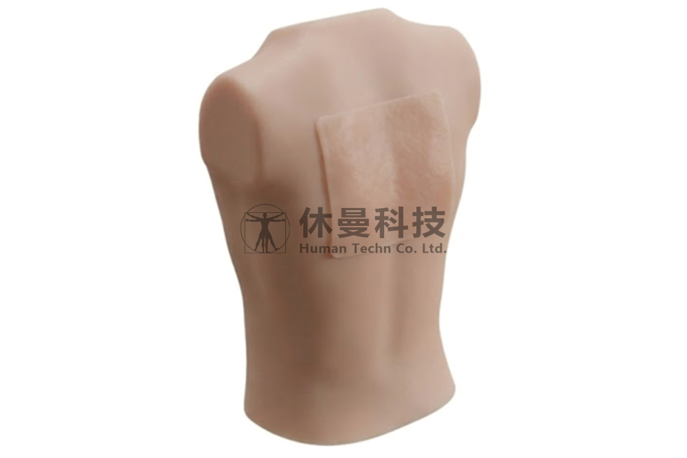 可视化胸椎管内麻醉模拟教学系统