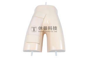 超声引导下股静脉穿刺术模型