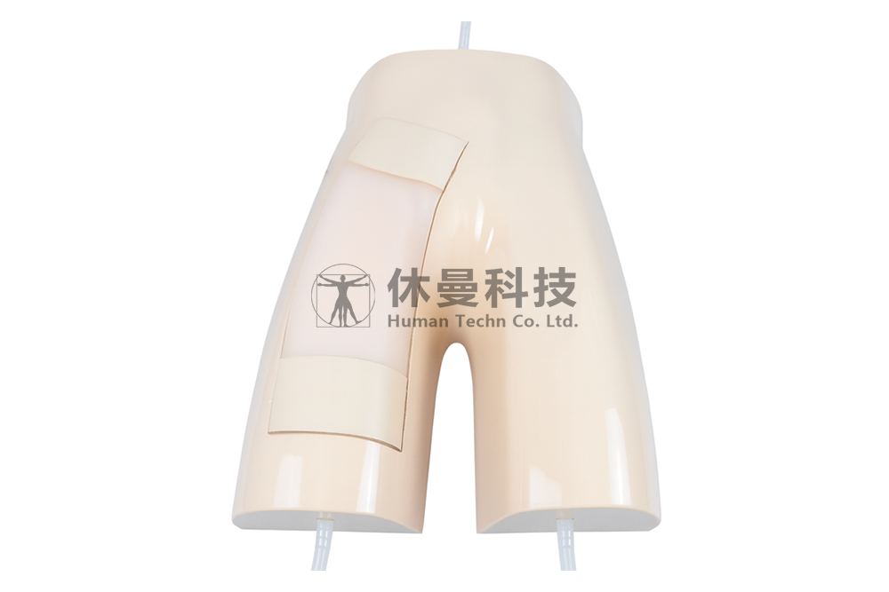 超声引导下股静脉穿刺术模型