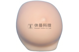 超声引导下乳腺肿物穿刺术模型