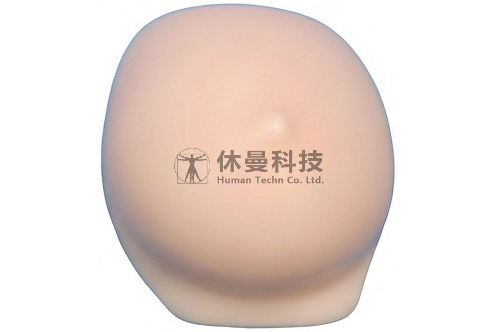 超声引导下乳腺肿物穿刺术模型