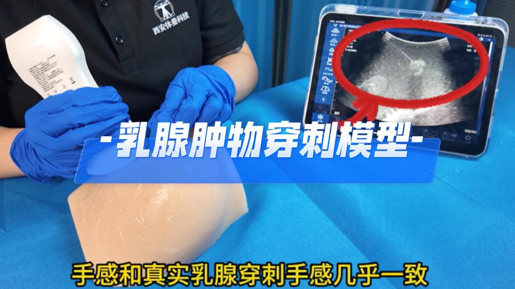 乳腺肿物穿刺模型