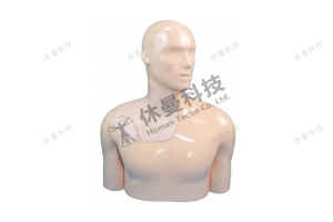 可视化颈内静脉穿刺术模拟教学系统