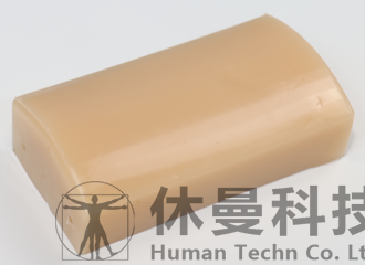 肿物及血管穿刺术模型