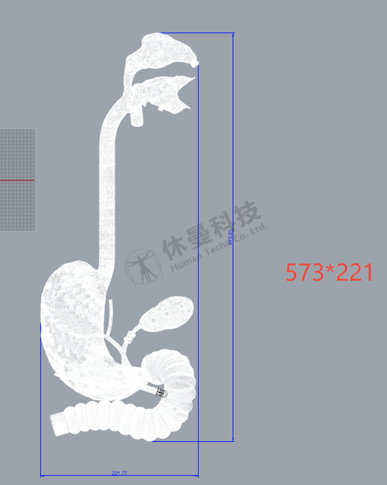 ERCP手术模拟教学系统 结构图