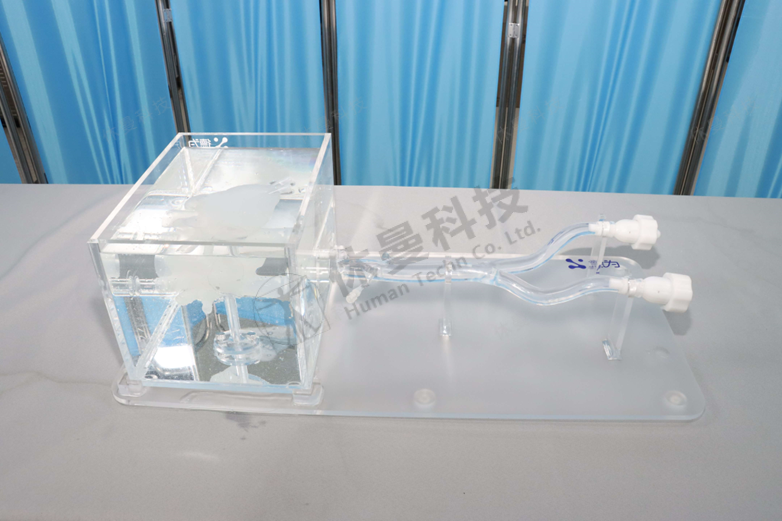 ICE心脏手术模拟教学系统