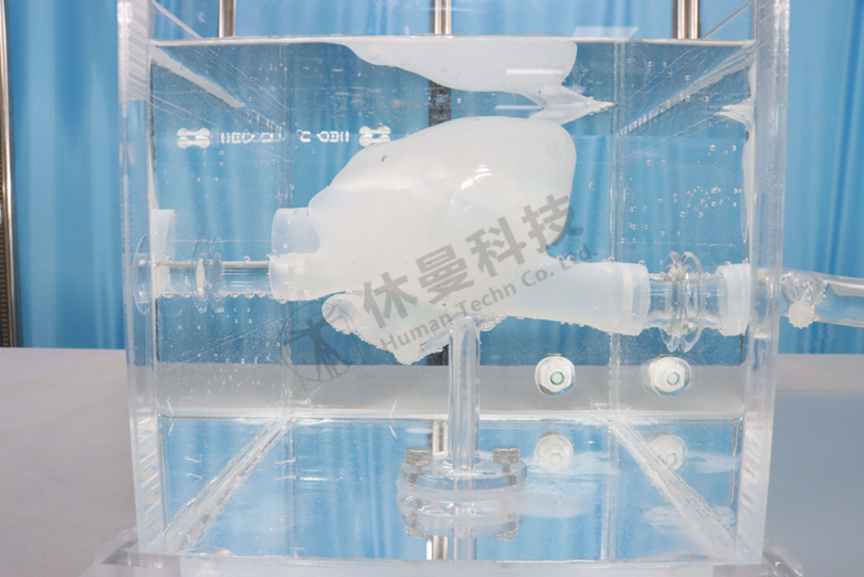 ICE心脏手术模拟教学系统