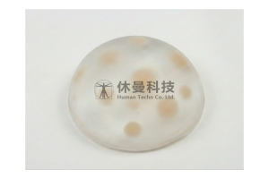 超声引导下乳腺肿物穿刺和消融术模型