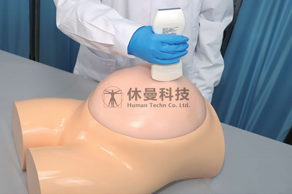 孕中期胎儿超声检查模拟教学系统