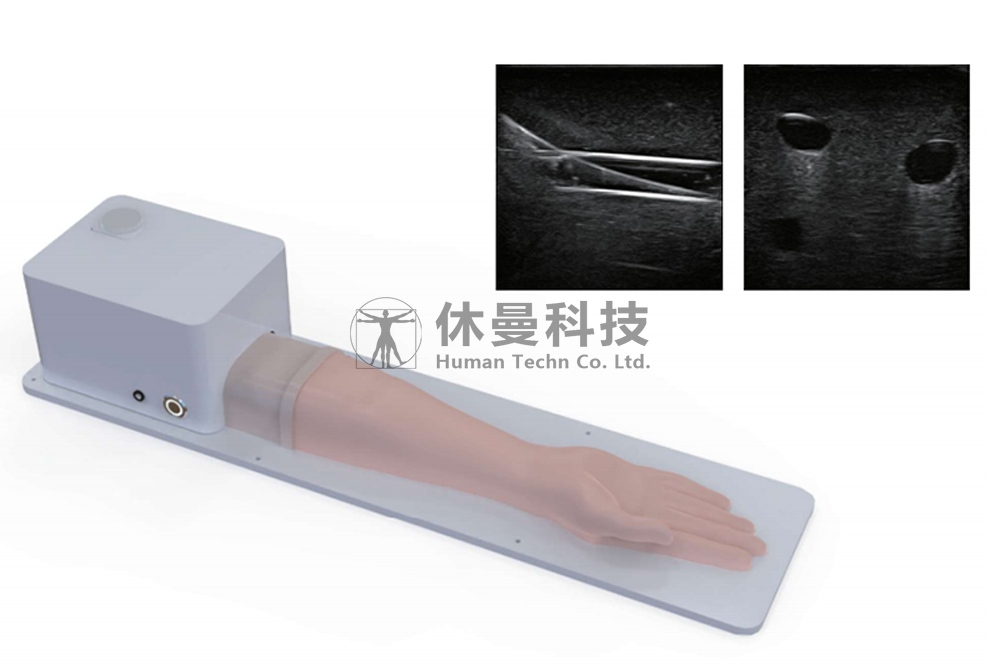可视化桡动脉穿刺术模拟教学系统