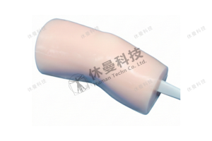 超声引导下膝关节穿刺模型