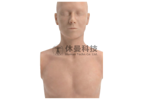 可视化心脏超声检查模拟教学系统