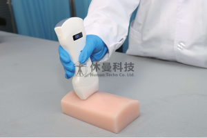 可视化腿部异物超声模拟教学系统