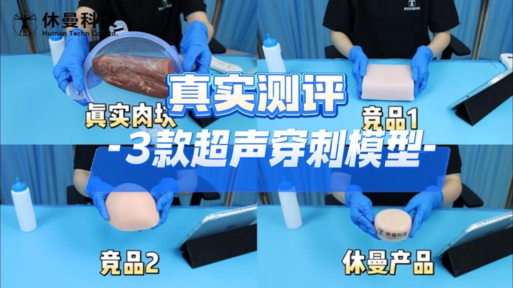 超声穿刺模型怎么选?真实测评来了!