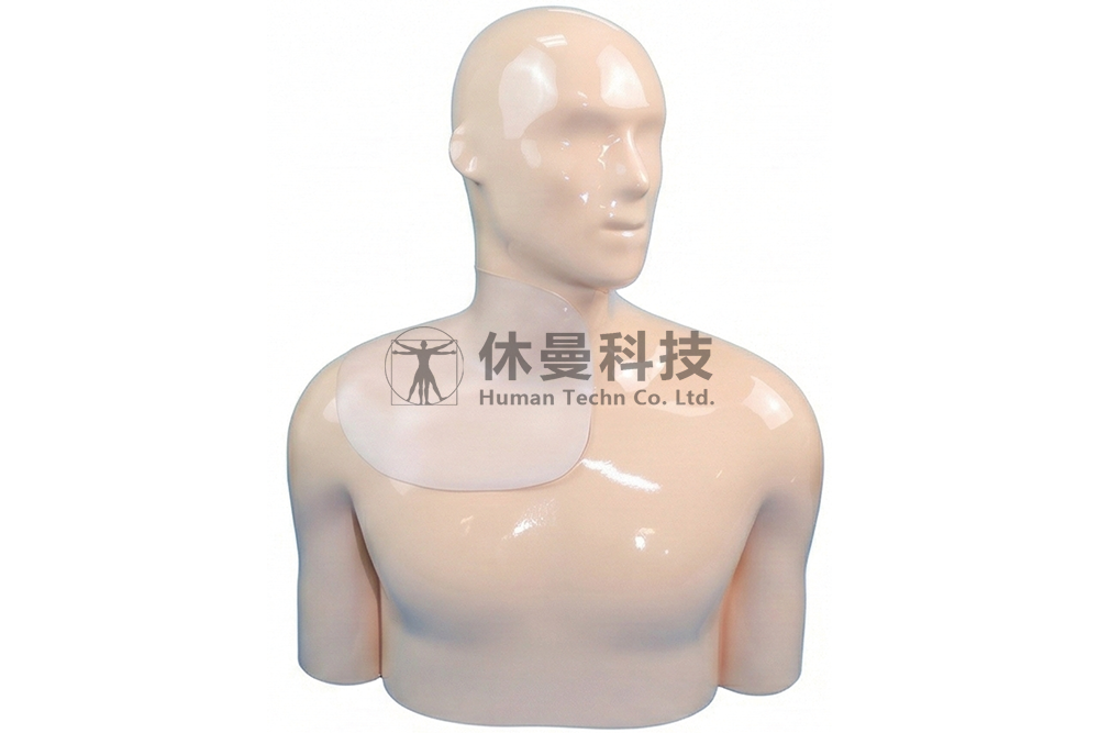 可视化中心静脉穿刺术模拟教学系统
