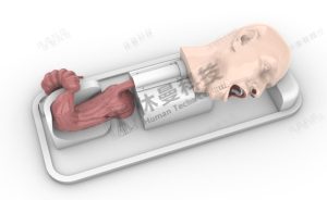 上消化道内镜手术模拟教学系统
