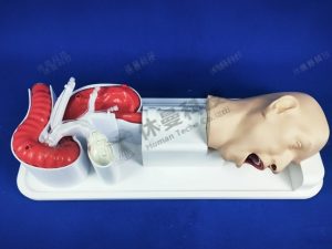 ERCP手术模拟教学系统