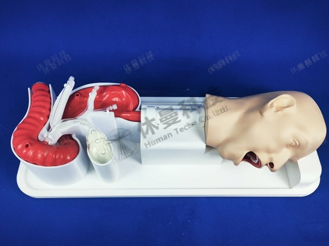 ERCP手术模拟教学系统