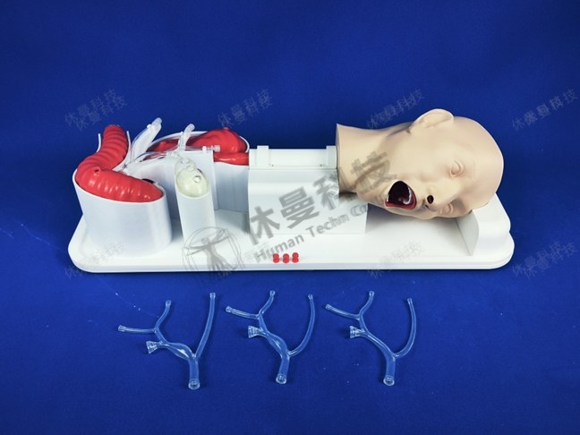 ERCP手术模拟教学系统