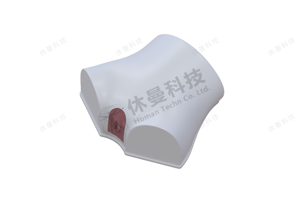 宫腔镜手术训练模型