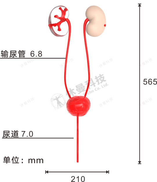 泌尿内镜手术模拟教学系统 结构图