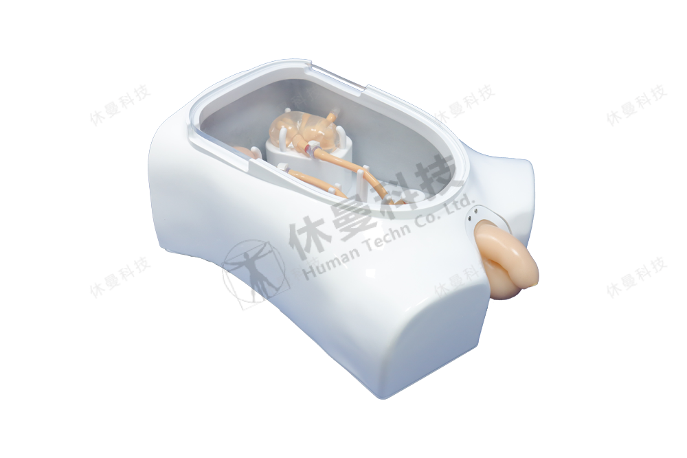 泌尿镜手术训练模型