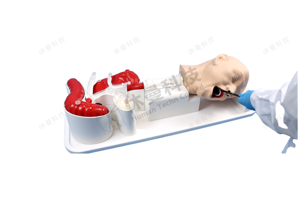 胃镜ERCP手术训练模型