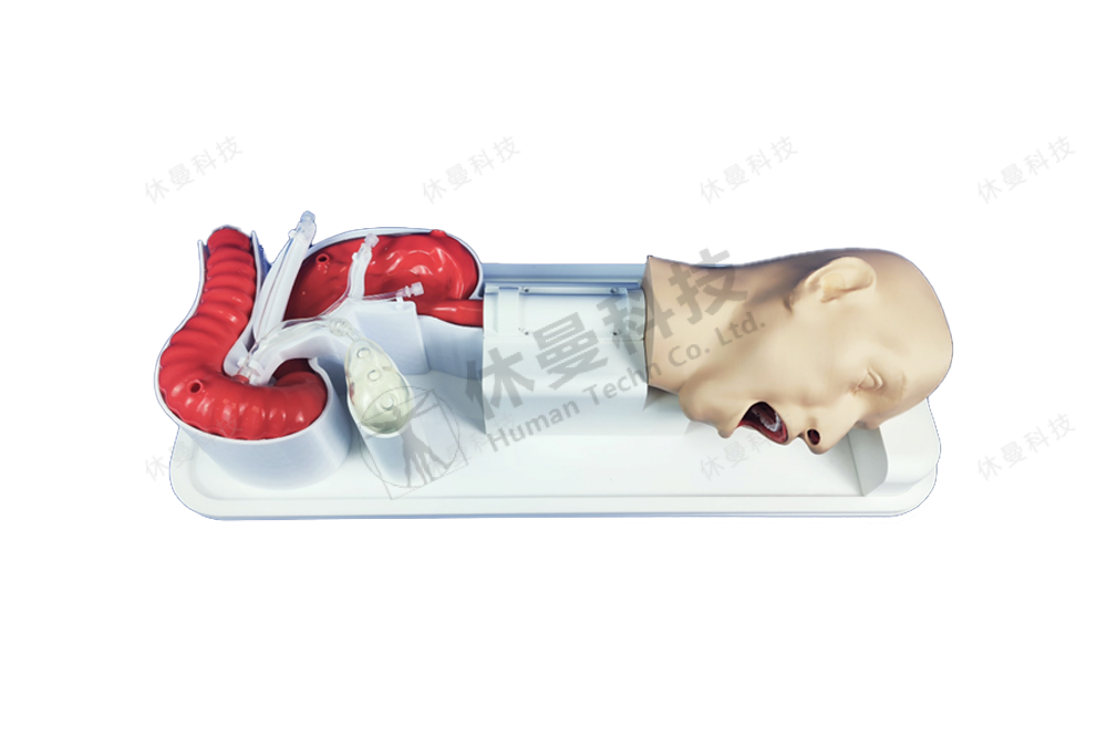 ERCP手术模拟教学系统