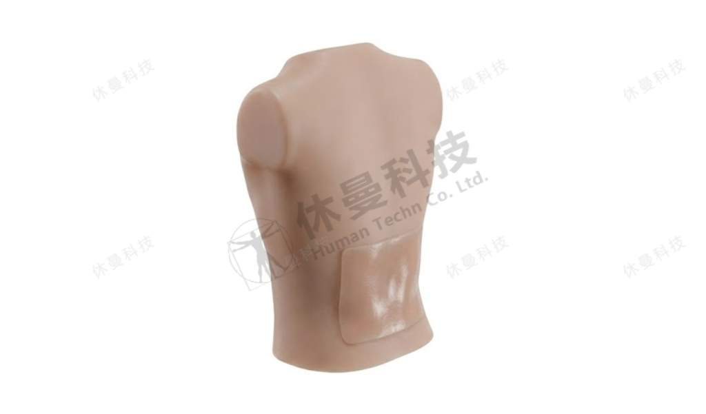 超声引导下腰椎管麻醉模型